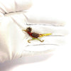 Vintage Road Runner Enamel and Gold Bird Brooch
